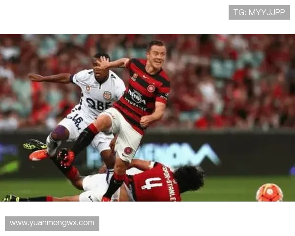 奥克兰平珀斯光荣卡尔塔克建功